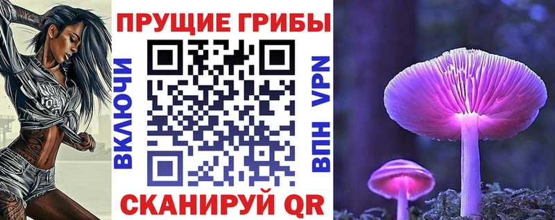 закладка  Славгород  blacksprut ССЫЛКА  Галлюциногенные грибы ЛСД 